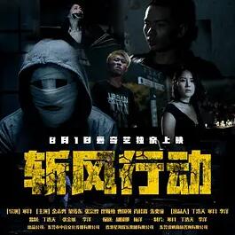 电影：斩风行动