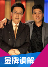 电影：金牌调解