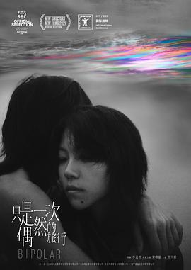 电影：只是一次偶然的旅行