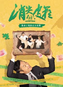 电影:消失的皮箱