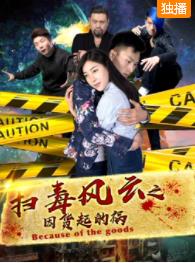 电影：扫毒风云之因货起的祸