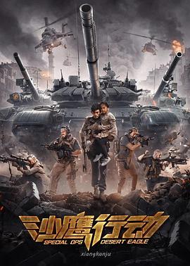 电影:沙鹰行动