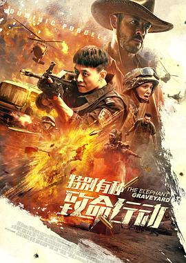 电影：特别有种：致命行动