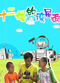 电影:十二楼的流星雨第二部