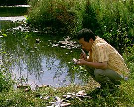 电影:来福,来福