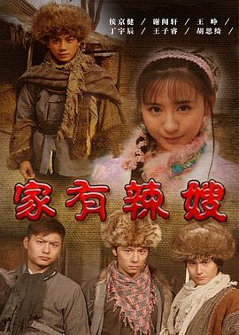 电影：家有辣嫂