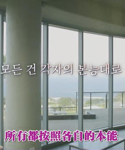 电影：按照各自的本能