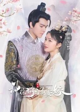 电影:神探驸马请接嫁