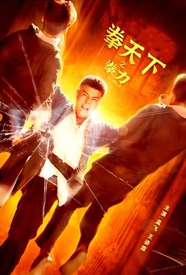 电影：拳天下之拳力