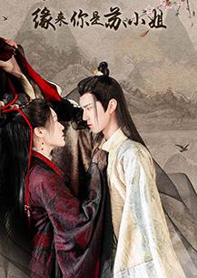 电影:缘来你是苏小姐