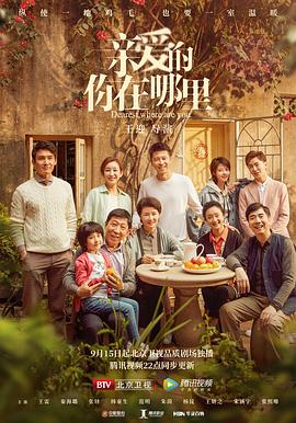 电影：亲爱的，你在哪里