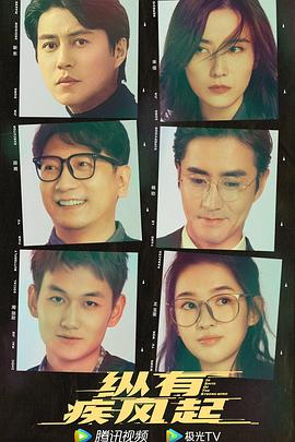 电影：纵有疾风起
