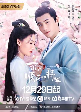 电影：一不小心顺走了将军