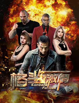 电影：格斗与激情
