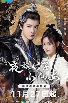 电影:夜族公子小仙妻