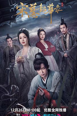 电影：宋慈韶华录