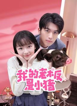 电影：我的老板是小猪