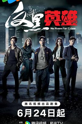 电影：反黑英雄粤语