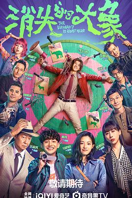 电影：消失的大象