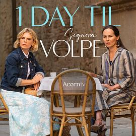 电影：狐狸女士第二季