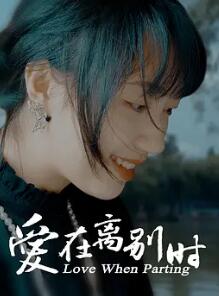 电影：爱在离别时2024