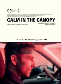 电影:树冠上的平静