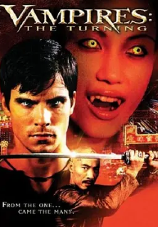 电影：凶铃刺客