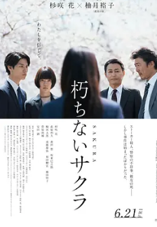 电影：不朽的樱花