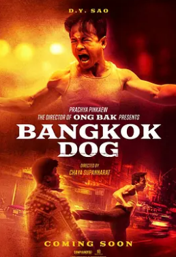 电影：曼谷战狼