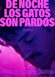 电影:晚上所有的猫都是黑的