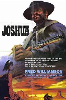 电影:荒野黑煞星