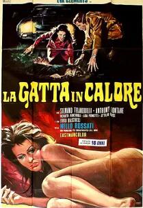 电影：春情野猫