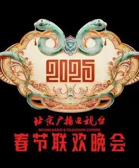 电影：2025北京卫视春晚