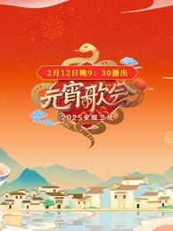 电影：2025安徽元宵晚会