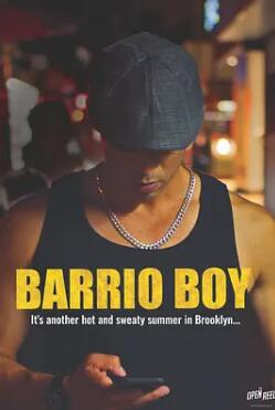 电影:巴里奥男孩