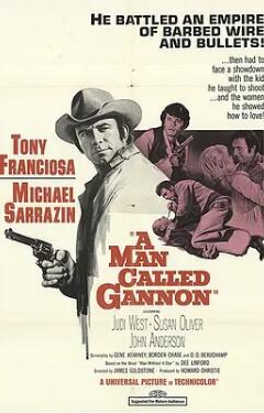 电影:原野独行侠