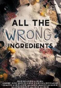 电影：所有错误的成分