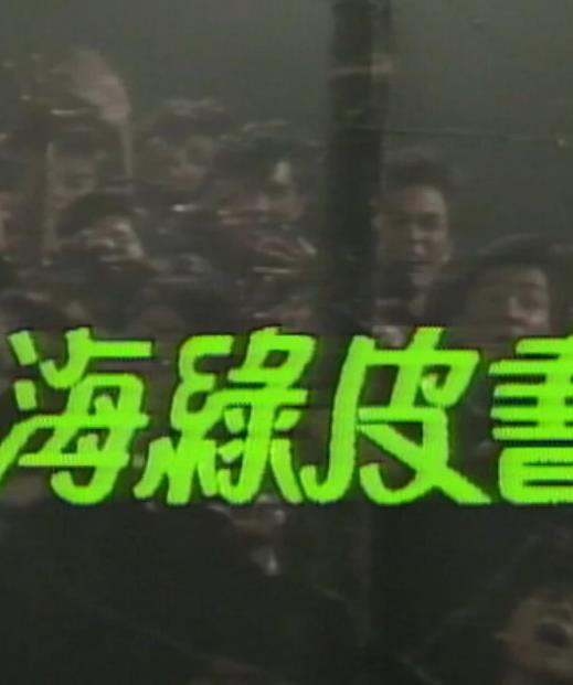 电影:人海绿皮书粤语