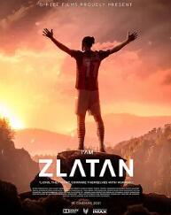 电影：我是兹拉坦