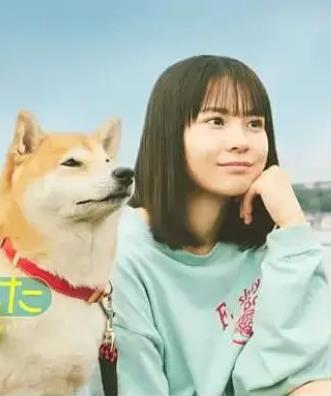 电影：今日份的散步