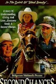 电影：第二次机会1998