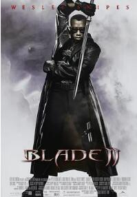 电影:刀锋战士2