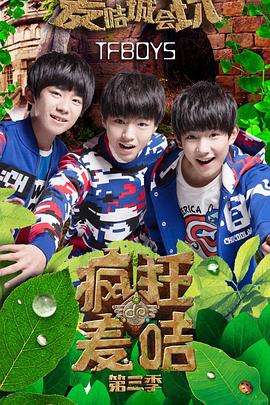 电影：疯狂的麦咭第三季