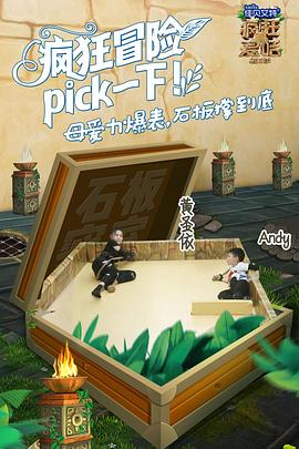 电影：疯狂的麦咭第五季