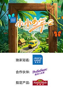 电影：小小少年第二季