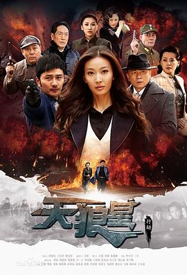 电影：天狼星行动