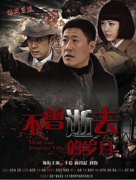 电影：密使2之江都谍影