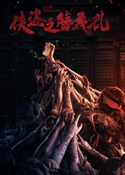 电影：侠盗之簪花乱