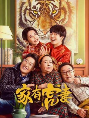 电影：家有虎妻2023