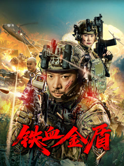 电影：铁血金盾